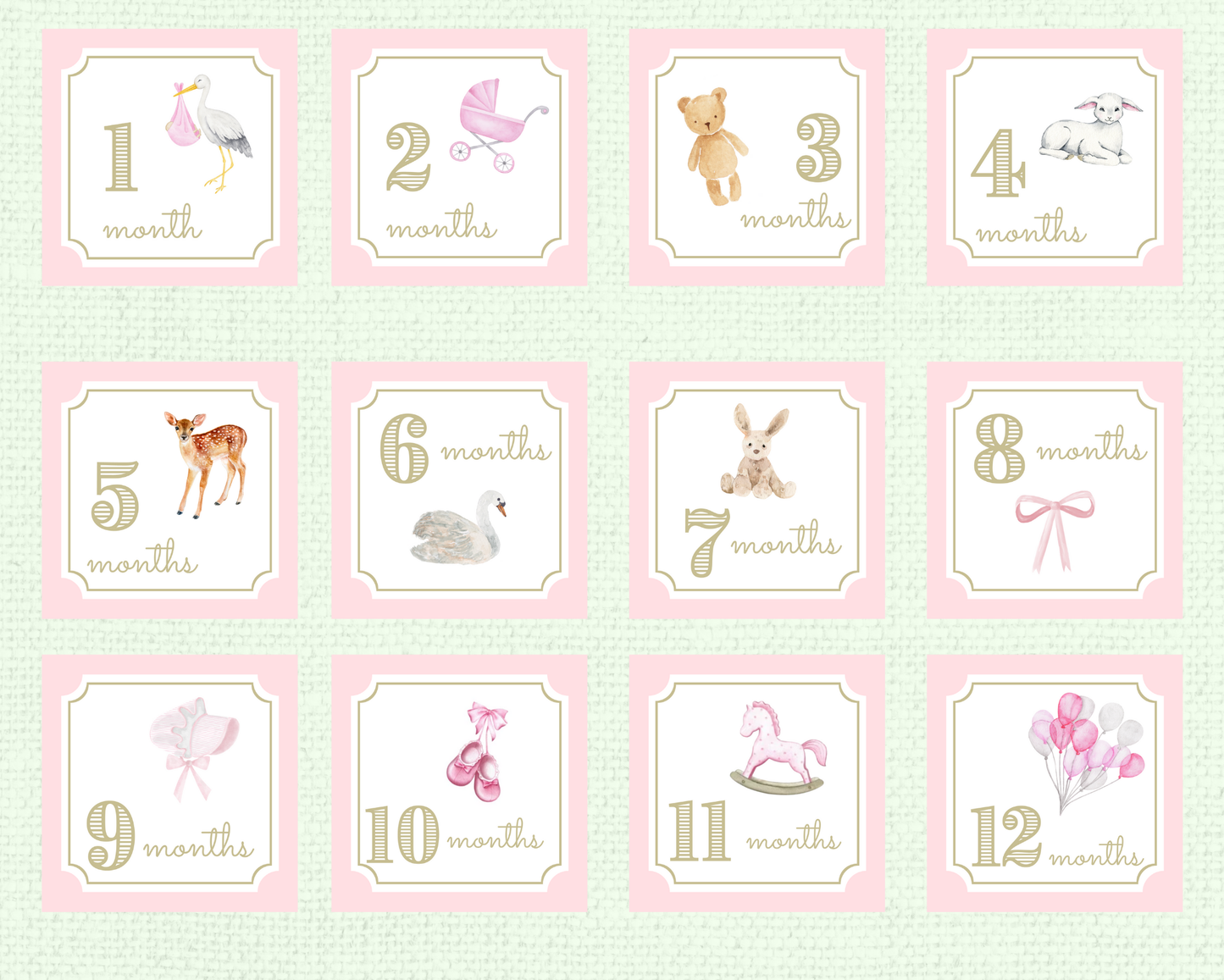 Baby Girl Milestone Cards