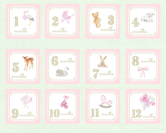 Baby Girl Milestone Cards