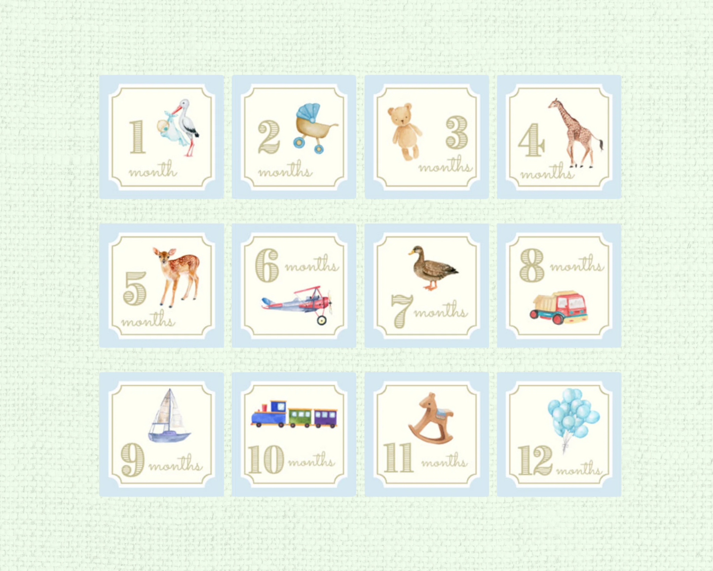 Baby Boy Milestone Cards