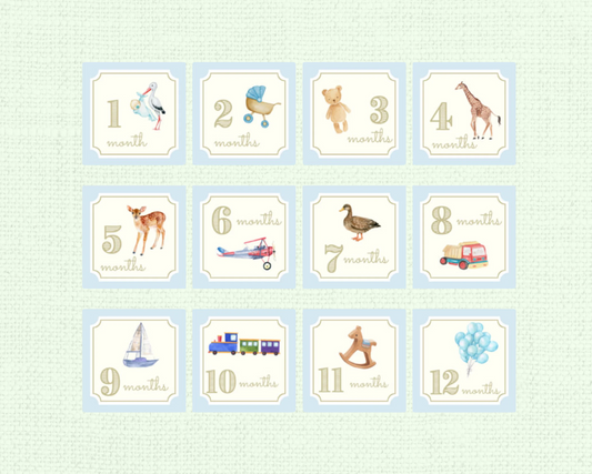 Baby Boy Milestone Cards