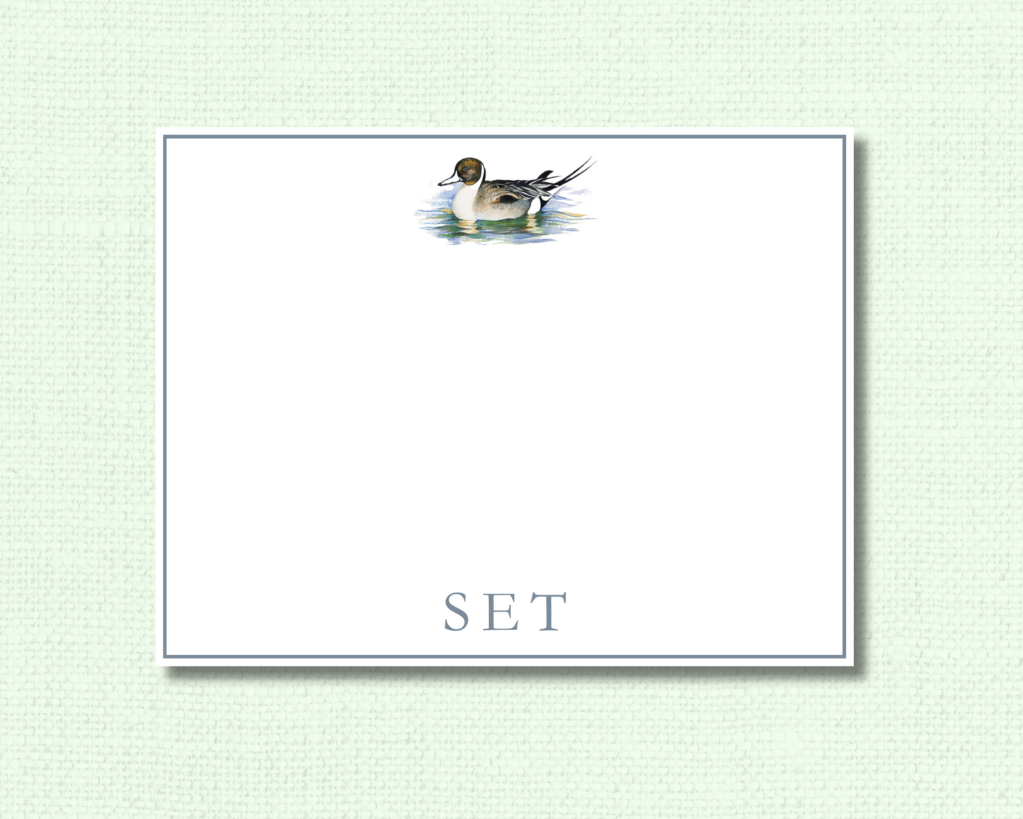 Pin Tail Duck Stationery Set